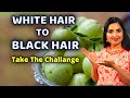 WHITE HAIR TO BLACK / Grey Hair Natural Home Remedies DIY | How to reverse WHITE HAIR Naturally