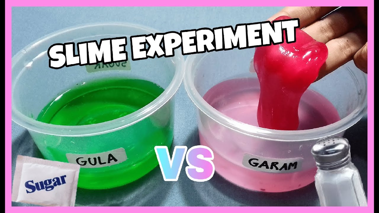 Cara Membuat Slime Dengan Garam Vs Slime Dengan Gula Experiment