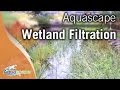 Wetland Filtration For Ponds by Aquascape