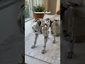 From a Pod to Wolf!⚙️🐺 #shorts #trending #mechanical #transformation #satisfying #coolgadgets #toys