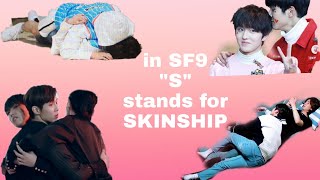 The S in SF9 stands for skinship