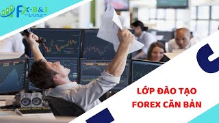 Forex Cơ Bản P1 - Hiểu Nghề Và Chọn Nghề Trader Forex