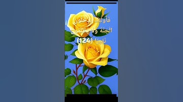 #قرآن #سورة_النساء :  وَمَن يَعْمَلْ مِنَ الصَّالِحَاتِ مِن ذَكَرٍ أَوْ أُنثَىٰ وَهُوَ مُؤْمِنٌ