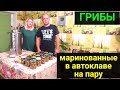 Маринованные грибы в автоклаве Вейн 23 литра. Рецепт.