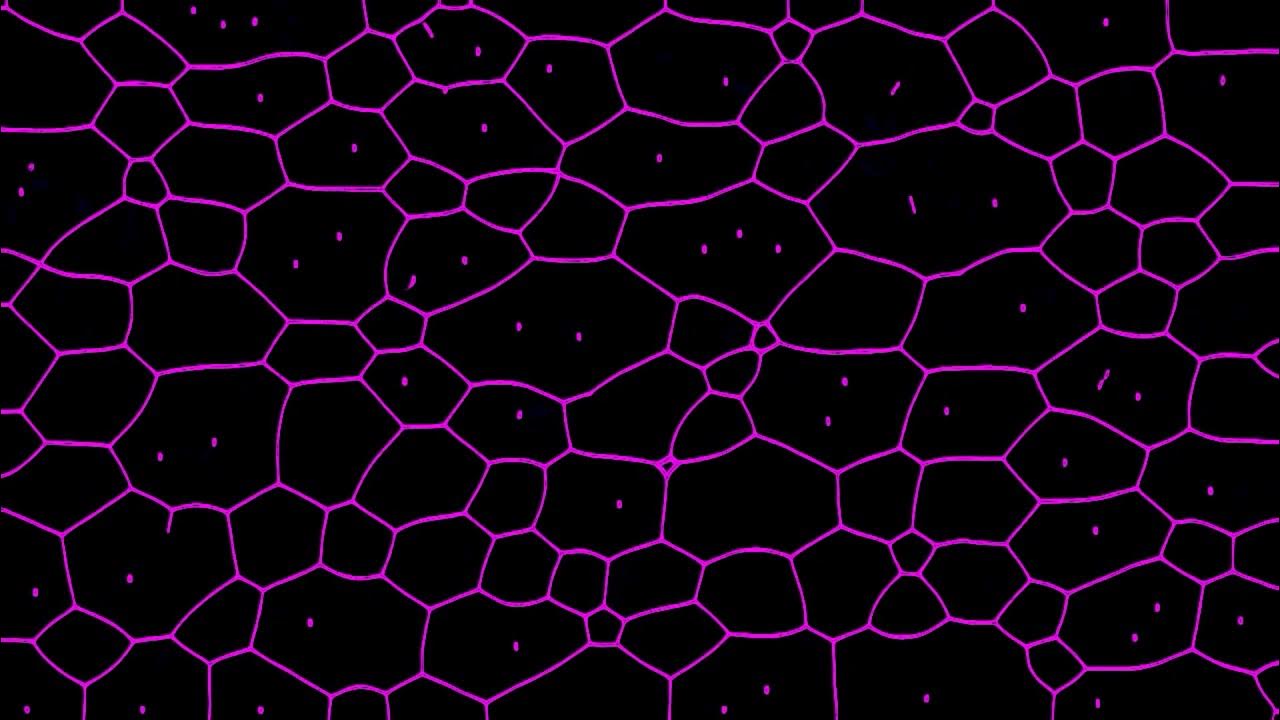Силк рисовалка. Рисунки нейросети. Генеративная графика. Генеративная заливка 2024. Генеративный арт.
