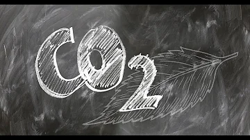 ¿Qué planta elimina más CO2?