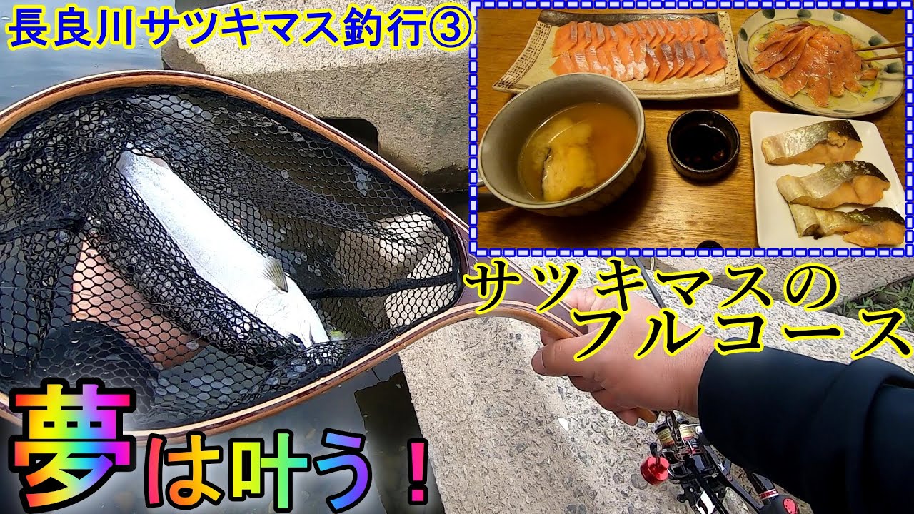長良川サツキマス ポイントは ルアーアクションは Bigfishgo 道なきところに道をつくる
