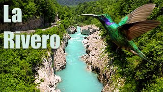 La Rivero – ♥♫ Strika tango ♫ ♥