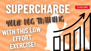 Dog training exercise to do EVERY DAY that takes barely any effort!