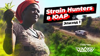 Strain Hunters в ЮАР | 1 серия | Озвучка Dzagi