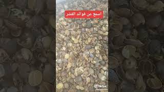 فوائد قشر القهوه