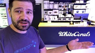 White Corals' Massive Reef Aquarium Showroom Part 1