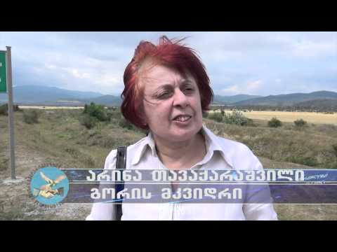 ხურვალეთში ჩასულმა ორგანიზაციებმა სამოქალაქო საზოგადოებას გააქტიურებისკენ მოუწოდეს