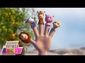 FINGER FAMILY | Animal Finger Family | 3D Rhyme