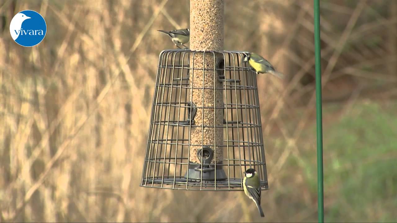 Futtersäulen-Schutz Maximum Futtersäule Maximum 55 cm