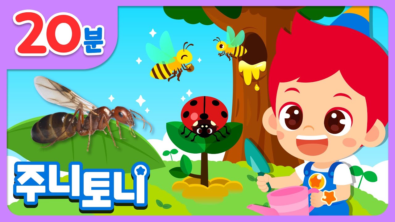 🐛곤충동요 모음집🐝🐞 | 곤충들 모두모두 모여라 | 곤충은 어떻게 생겼을까? | 다양한 벌레 | 주니토니 | JunyTony