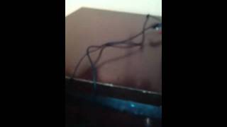 New Cannabis Grow Vlog 1
