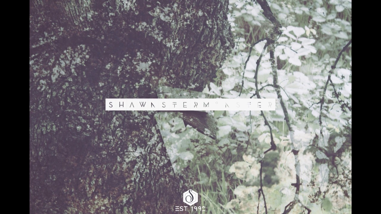 ShawnsterMonster - Kool Aid