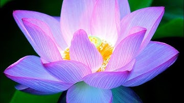 Don’t let a unbalance person knock your balance off, keep moving ￼