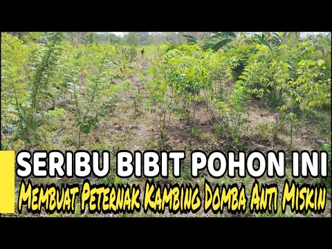 ผลสลากกินแบ่งรัฐบาล วันที่ 1 พย. 2567