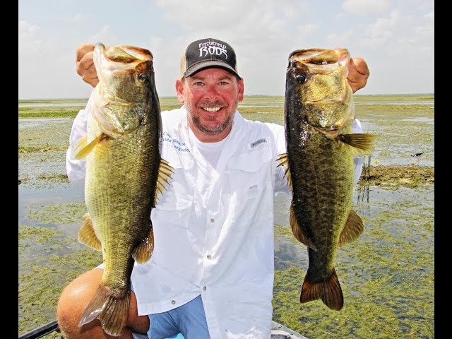 BEST Top Water Frog Bass Fishing Video in Florida Lake. Spro and