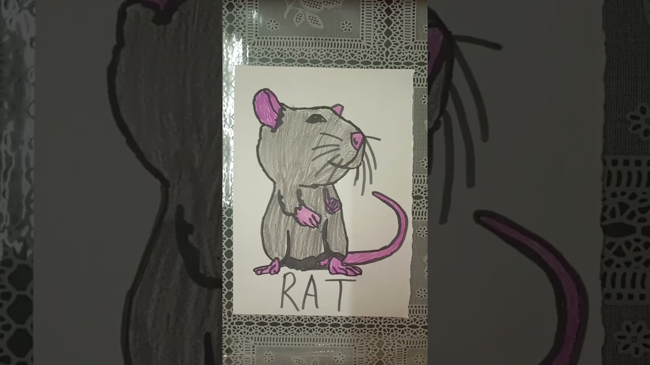 Draw Rat in Easy way 😶