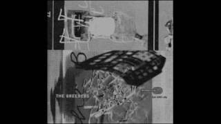 Video thumbnail of "The Breeders - The She"