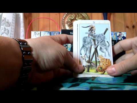 Таро  Языческих  кошек. Pagan Tarot cats.