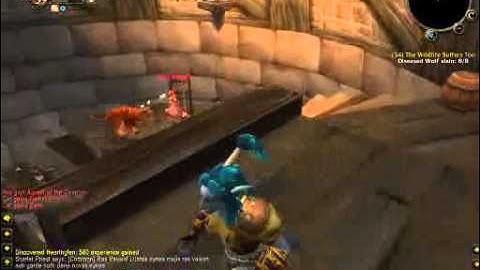 Joana doing the last part of "Unfinished Business" quest in Vanilla WoW