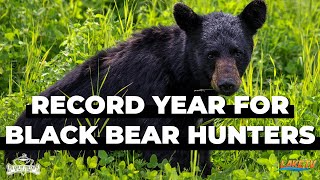 Black Bear Hunting in Missouri: Record Year in 2024