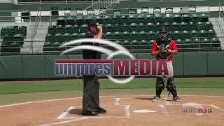 Famous 2019 - Situation 18 - Catcher's Interference Profile