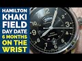 Hamilton Khaki Field Watch - 6 Months on the Wrist Review