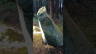 Taking Brodin for a recharge in the forest