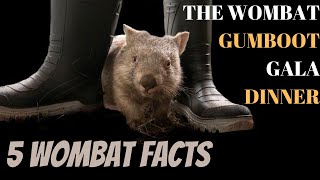 5 facts about wombats! The Wildlife Twins by The Wildlife Twins 339 views 1 year ago 8 minutes, 49 seconds