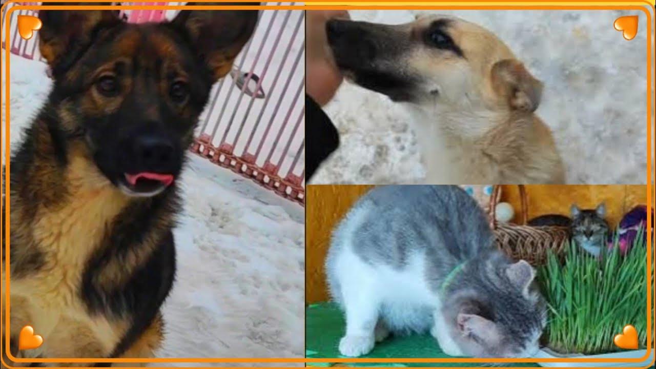 Я хулиганом рос. Литвиненко обои. Брат за брата клип. Литвиненко рэпер. Литвиненко альбом.