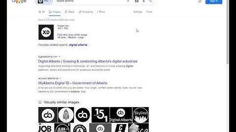 Reverse Image Search Specific to a Single Website