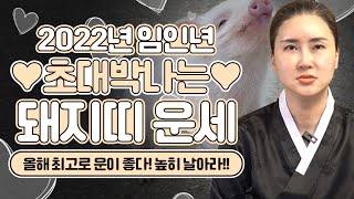 [2022년 돼지띠운세] 2022년 임인년 초대박나는 돼지띠운세?!│12띠 중에서 최고로 운이 좋아서 무조건…