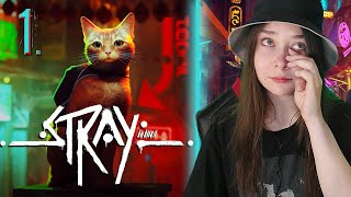 КОТЫ ДОВЕЛИ МЕНЯ ДО СЛЁЗ | ПРОХОЖДЕНИЕ STRAY 1 ЧАСТЬ