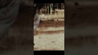 Michael Myers Vs Leather Face.