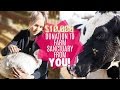 YOUR Arctic Fox Support at Work! $10,000 Donation to Farm Sanctuary! | Arctic Fox Hair Color