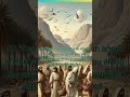 Exodus 23 20 21 CJB NIV Versions God S Angel To Prepare The Way Exodus 23 20 21 CJB NIV Versions God S Angel To Prepare The Way