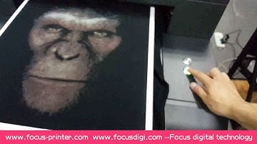 Installation video of Focus Nebula-Jet DTG  printer A2 size T shirt printing machine