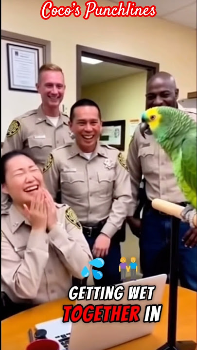 Coco’s wild 😜 fantasy #funny