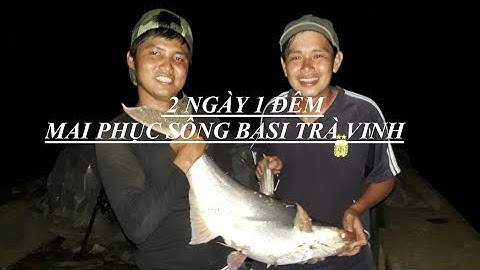 CÂU CÁ TRA KHỔNG LỒ SÔNG BASI TRÀ VINH | HUYNH KHOA FISHING