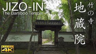 [4K] 地蔵院 竹の寺 京都の庭園　JIZO-IN [4K] The Garden of Kyoto