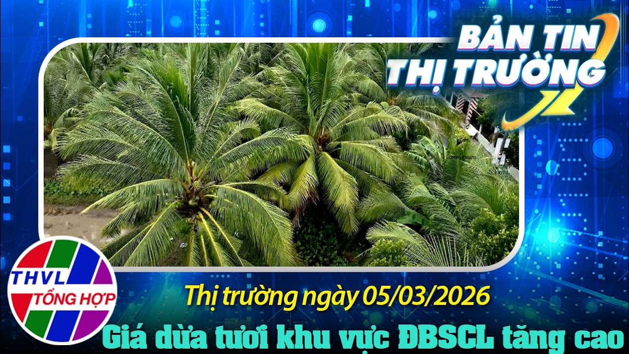 Bản tin thị trường (05/03/2026): Giá dừa tươi khu vực ĐBSCL tăng cao