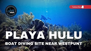Scuba Diving at the Playa Hulu Dive Site in Curaçao: Boat Diving a Hidden Underwater Gem (4K Video)