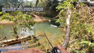 กัดโหดเหี้ยมมาก กระสูบน้ำไหลป่าต้นน้ำ @ สุคิริน EP 50#fishing #ธรรมชาติ #ปลาธรรมชาติ