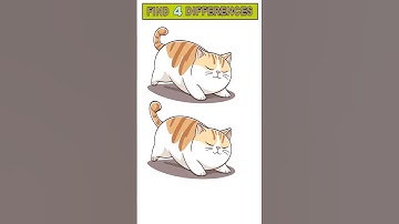 Can You Spot All 4 Differences in This Adorable Cat Puzzle?