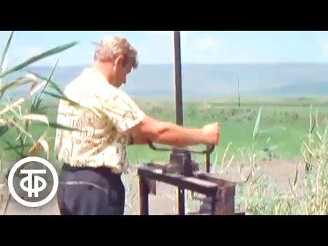 Вода и небо. Проблема охраны окружающей среды на химкомбинате. Новости. Эфир 10 июля 1975